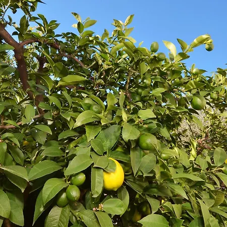 公寓 With A Parking Space Mavarstica, Ciovo - 16215