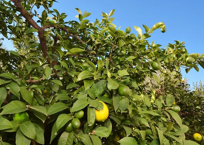 公寓 With A Parking Space Mavarstica, Ciovo - 16215